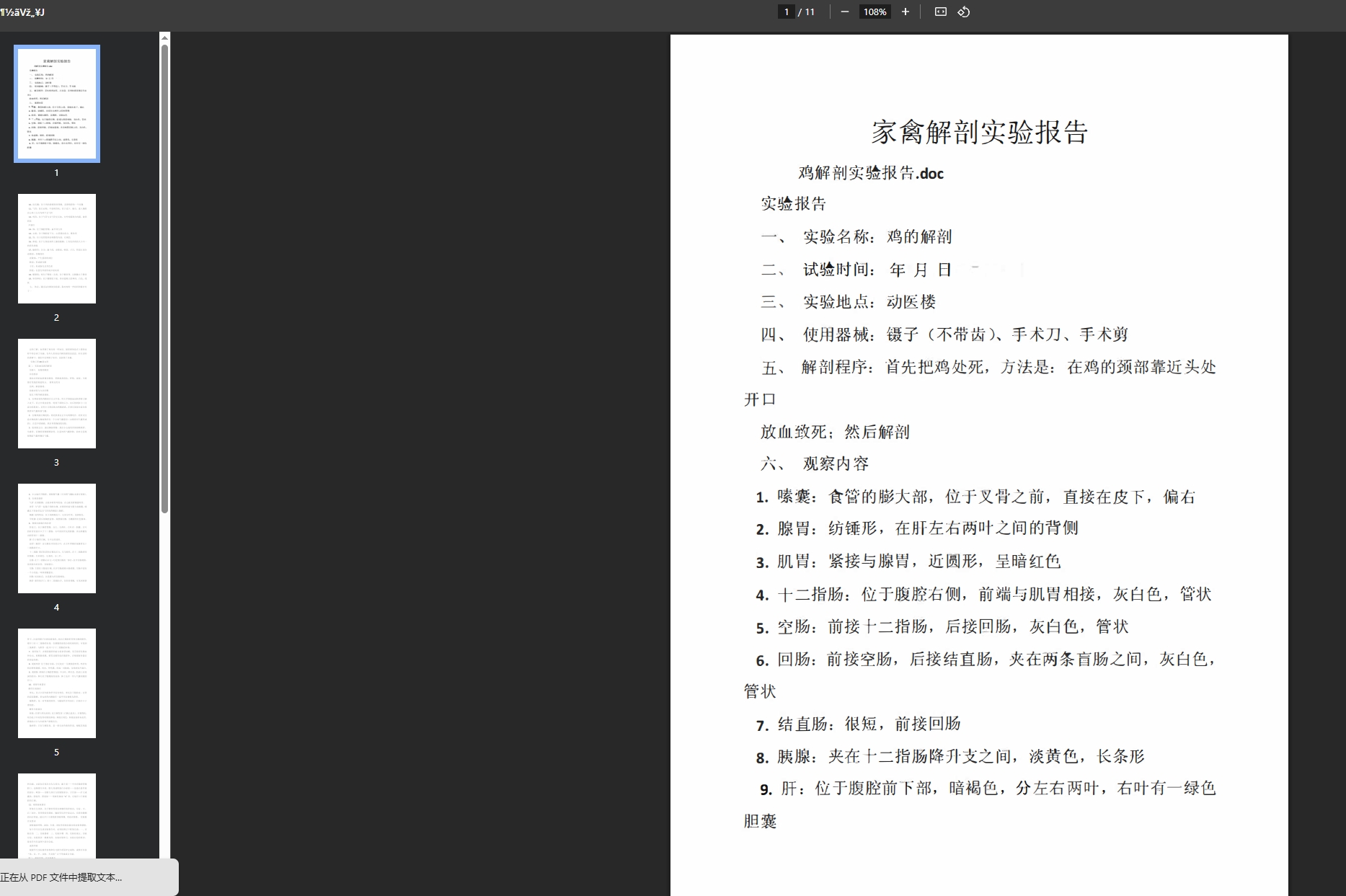 家畜解剖基础实验报告