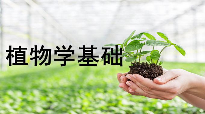 国家开放大学机考题库+精准套题《植物学基础》课程号：02014 试卷号：42704-电大资源网