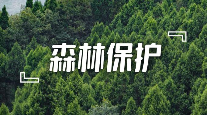 国开纸考精准过关资料《森林保护》2026.1.17-18-电大资源网